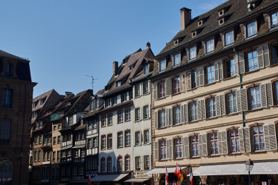 IMGP3145.jpg
