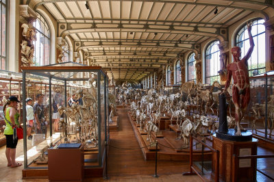 Paleontology Museum