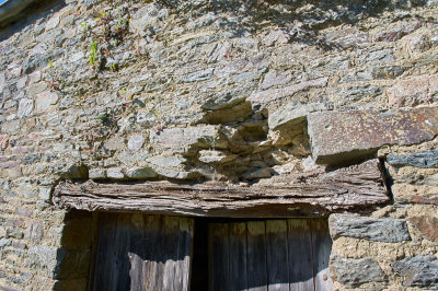 IMGP2398.jpg