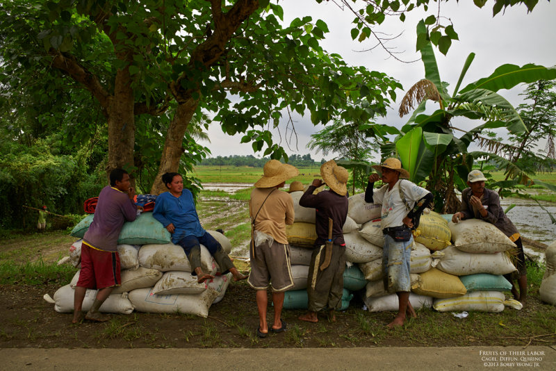 Fruits of their labor L1008666.jpg