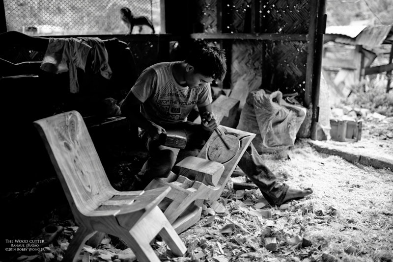 The Wood Cutter L1004973 1-PFM.jpg