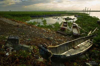 Old Boats L1036016.jpg