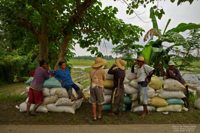 Fruits of their labor L1008666.jpg