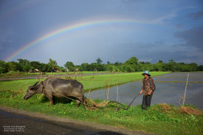 Backroads of Tarlac L1005807-PFM.jpg