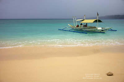 A Golden Beach .jpg