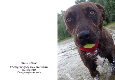Have a Ball 1.jpg