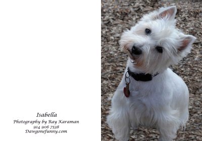 Isabella 1.jpg