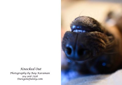 knocked out 1.jpg