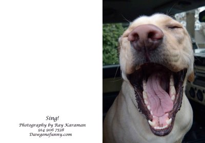 sing 1.jpg