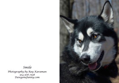 smile 1.jpg