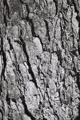 Weathered