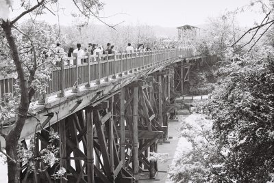 Bridge