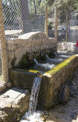 Fuente del Oso