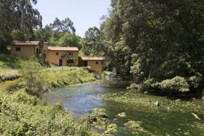 Niembro, molino