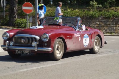 DSC01735.JPG