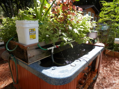 Hot Tub AP System