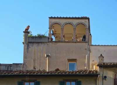 The secluded terrace over the roof tops...