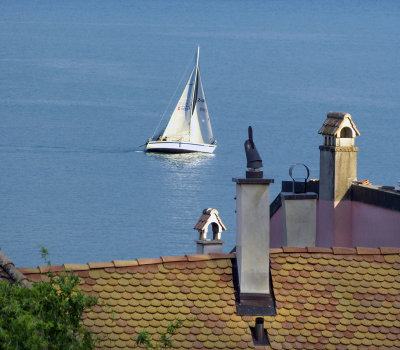 Sailing over the roof tops....