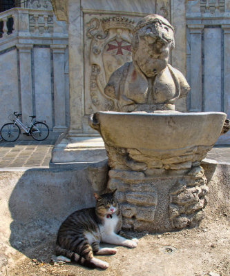 The cat into the dry fountain...