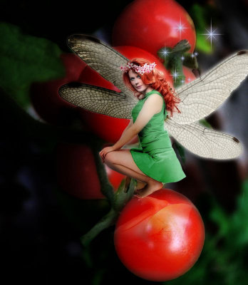 The tomatoes fairy...
