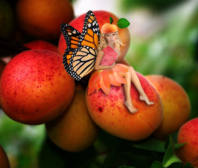 The apricot fairy...