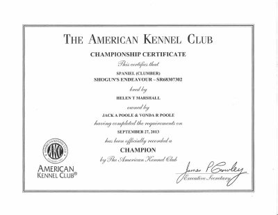 Gunner AKC CH Certificate1.jpg