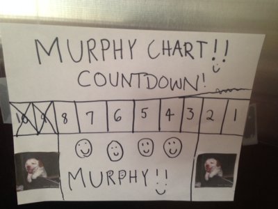 Murphy Chart.jpeg