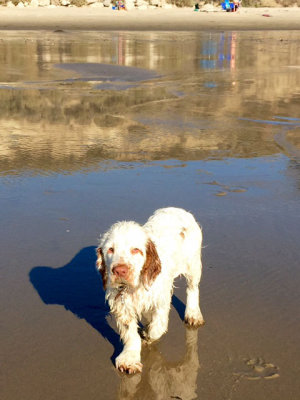 Murphy  141110 005.jpg
