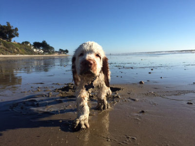 Murphy  141110 007.jpg