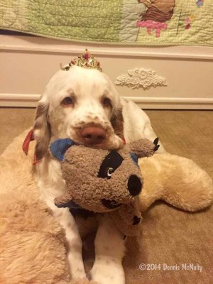 Murphy  141222 002.jpg