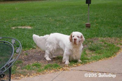 Benson 151004 006.jpg