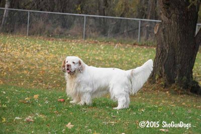 Benson 151030 001.jpg