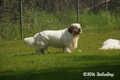 Benson 160521 001.jpg