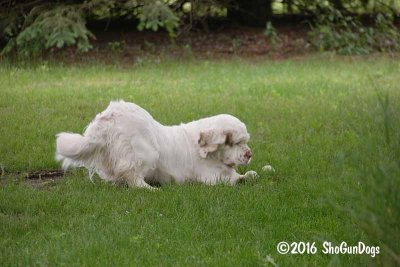 Vivian  160607 005.jpg