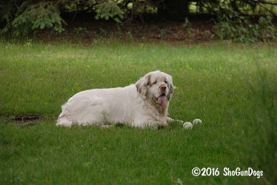 Vivian  160607 006.jpg
