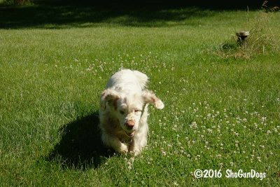 Vivian  160624 007.jpg