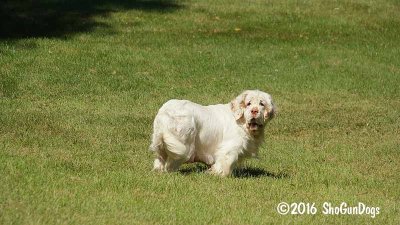 Vivian  160905 005.jpg