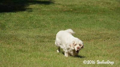 Vivian  160905 006.jpg
