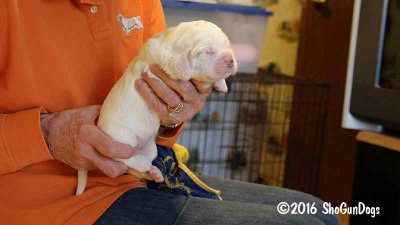 Gigi 2Litter 161101 016.jpg