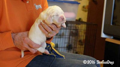 Gigi 2Litter 161101 017.jpg