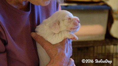 Gigi 2Litter 161101 027.jpg