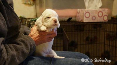 Gigi 2Litter 161111 016.jpg