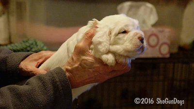 Gigi 2Litter 161111 018.jpg