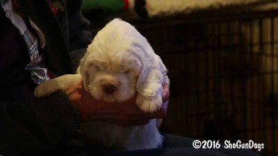 Gigi 2Litter 161117 010.jpg