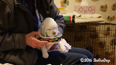 Gigi 2Litter 161117 031.jpg