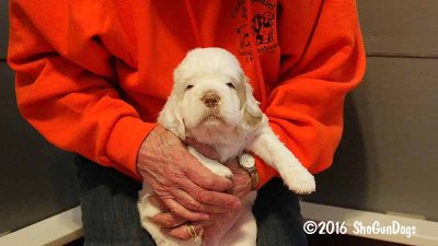 Gigi 2Litter 161118 024.jpg