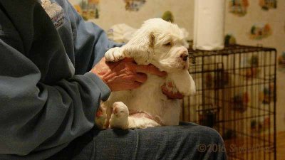 Gigi 2Litter 161202 017.jpg