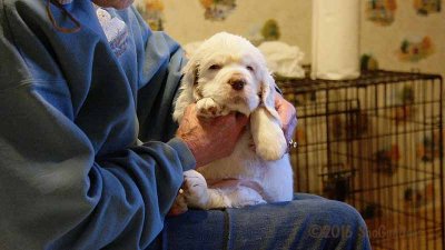 Gigi 2Litter 161202 019.jpg