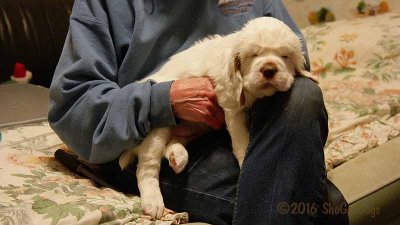 Gigi 2Litter 161202 023.jpg
