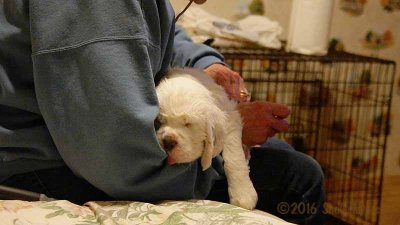 Gigi 2Litter 161202 028.jpg